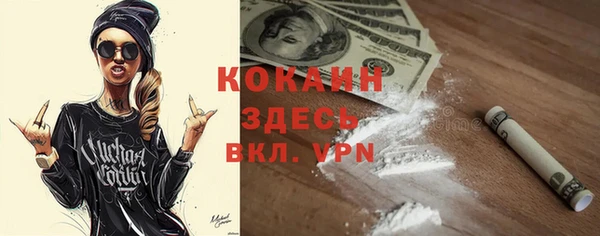 бошки Белокуриха