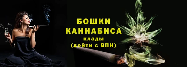 прущий лед Богданович