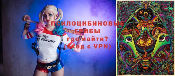бошки Белокуриха