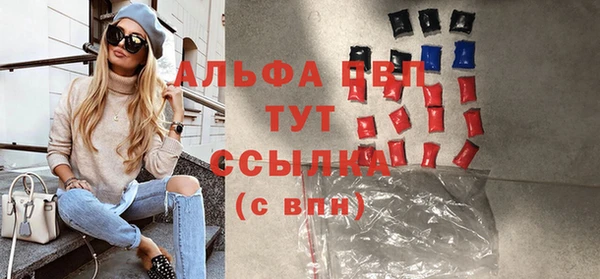 прущий лед Богданович
