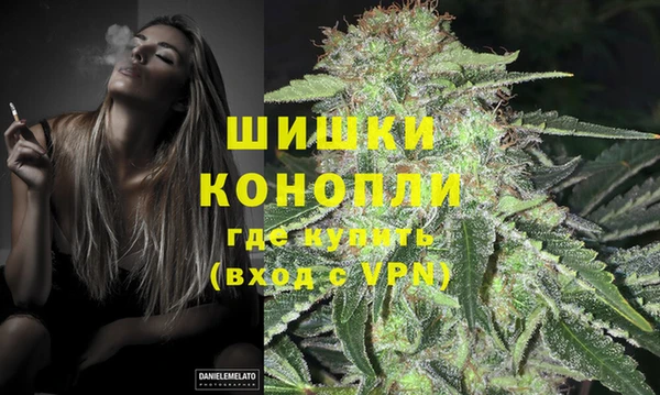 бошки Белокуриха