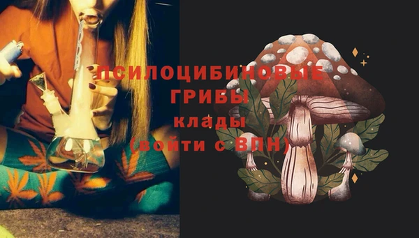 прущий лед Богданович