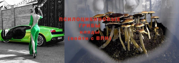 прущий лед Богданович
