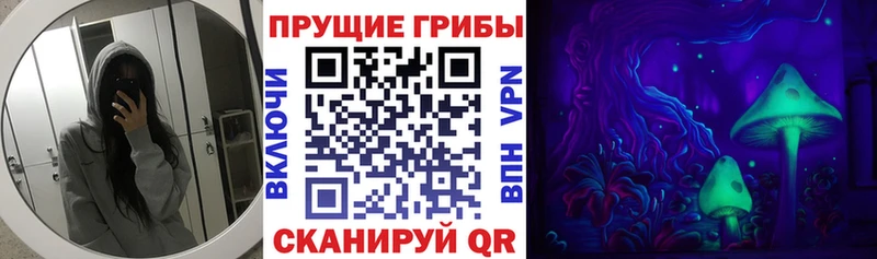 Псилоцибиновые грибы GOLDEN TEACHER  где найти   Высоковск 